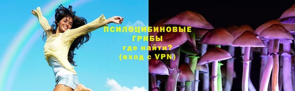 стафф Магадан