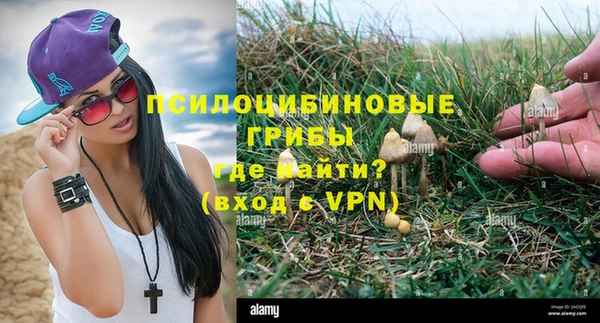 стафф Магадан