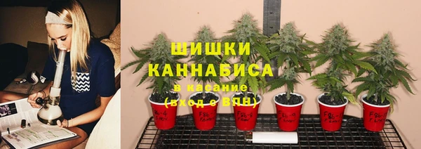 ешки Майский
