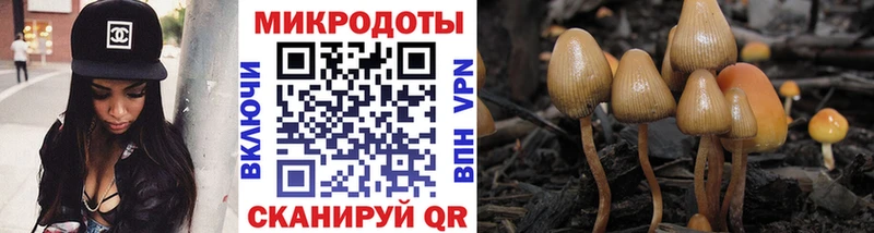 Псилоцибиновые грибы ЛСД  дарнет шоп  кракен вход  Юрюзань 